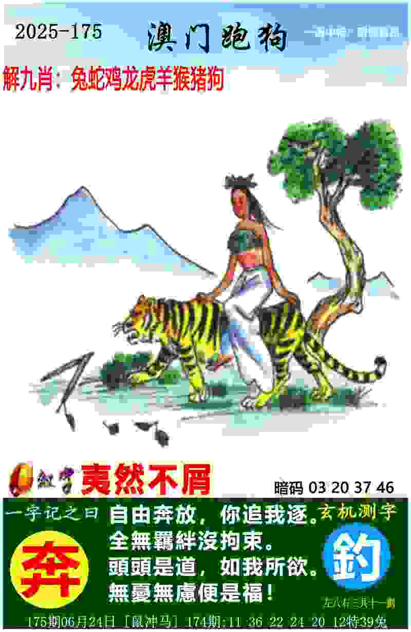 >2025澳门历史记录查询